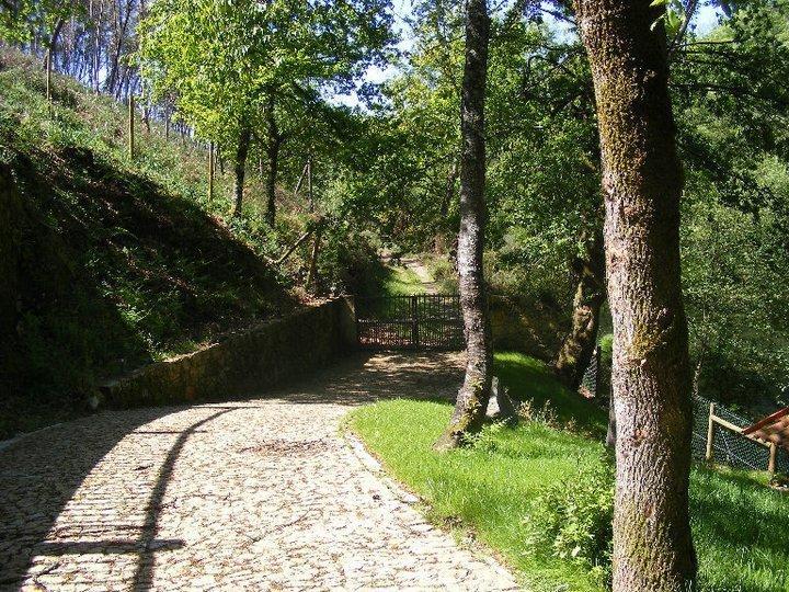 Quinta Do Rio Homem Caldelas Eksteriør bilde